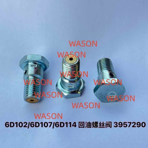 6D102 6D107 6D114 Oil Return Valve Bolt Screw 3957290