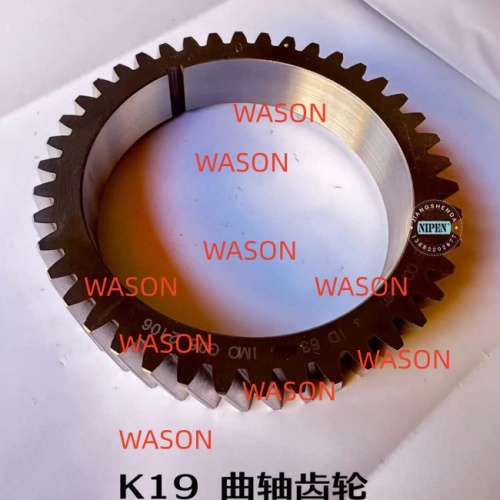 K19 Crankshaft Gear