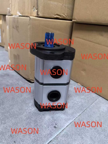 HL730-9 HL730TM-9 HL740-9 HL740TM-9 Gear Pump 31LP-40020