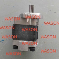 D3K XL, D3K2 LGP, D4K XL, D4K2 XL, D5K LGP, D5K2 XL GEAR PUMP 269-0004 2690004