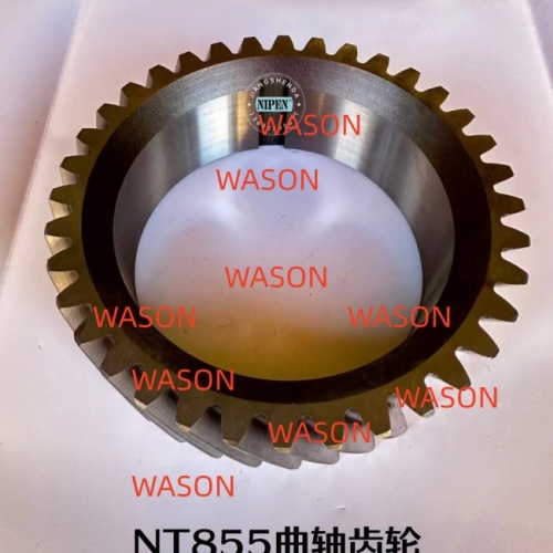 NT855 Crankshaft Gear