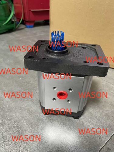 SHP2NN/019LN01DA P1B7B5NNNN/NNNNN GEAR PUMP 111.21.031.00