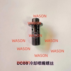 DC09 Cooling  Bolt Screw