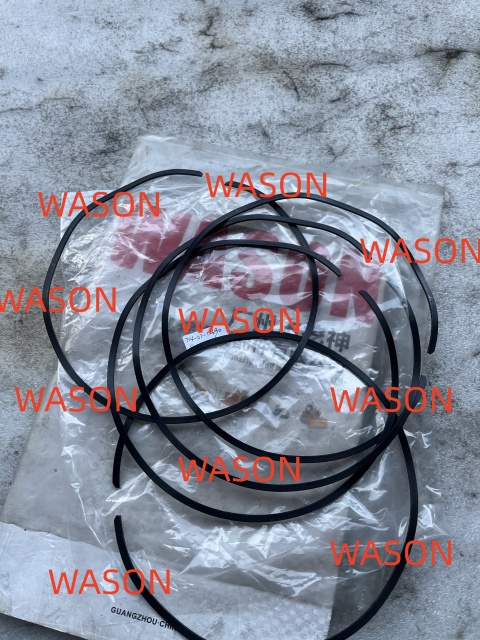 Metal Seal Spring 704-07-12690