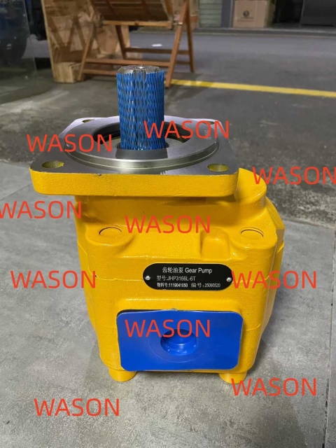 LG956F Gear pump 1119041050  JHP3166L-6T