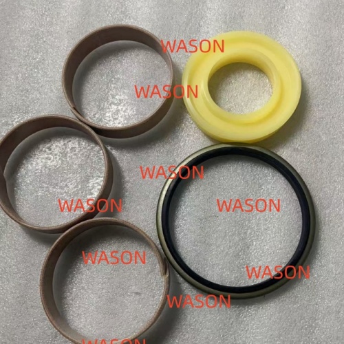 D65EX ADJ SEAL KIT