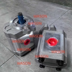 Gear pump  M241105567 SNP2NN025RN06SAP1E6E5 111.20.140.00