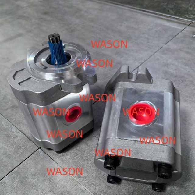 Gear pump  M241105567 SNP2NN025RN06SAP1E6E5 111.20.140.00