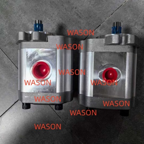 Gear pump  M241105567 SNP2NN025RN06SAP1E6E5 111.20.140.00