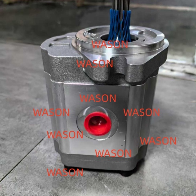 Gear pump  M241105567 SNP2NN025RN06SAP1E6E5 111.20.140.00