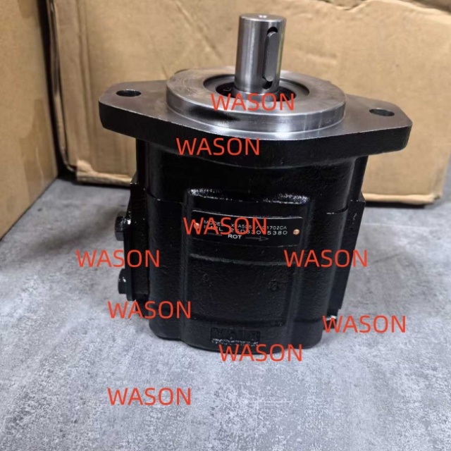 51CCR Gear  Pump  919/75002 X1A5051/101702CA