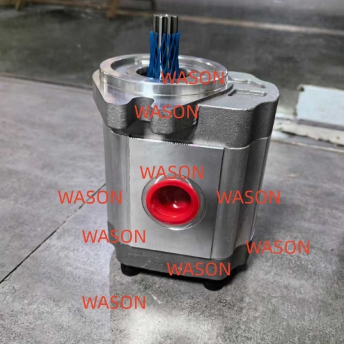 Gear pump  M241105567 SNP2NN025RN06SAP1E6E5 111.20.140.00