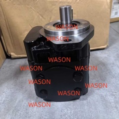 51CCR Gear  Pump  919/75002 X1A5051/101702CA