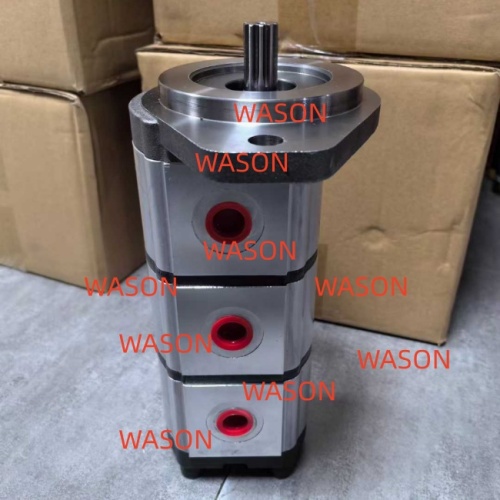 Gear  Pump  GSP2-B0B09T09T09T1R-B0-98