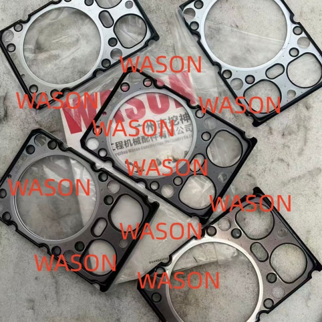 WD10G240E21 Full Gasket Kit