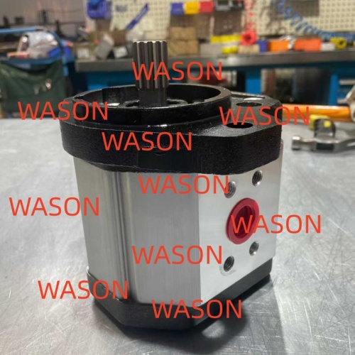 Hydraulic Gear Pump 1142001004