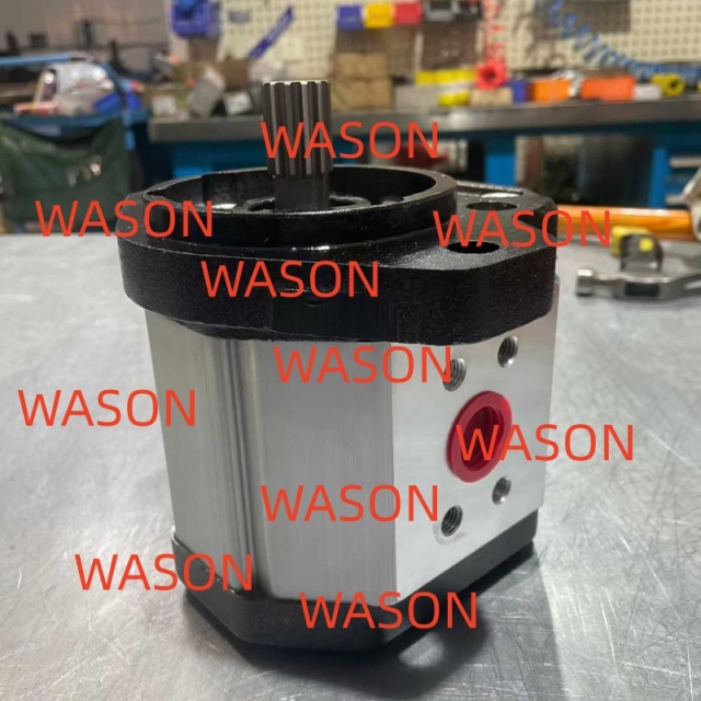 Hydraulic Gear Pump 1142001004