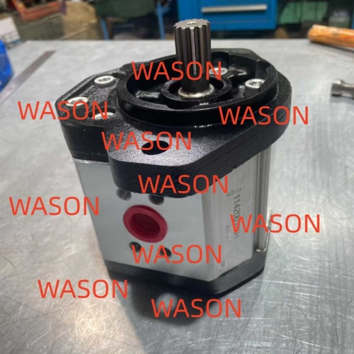 Hydraulic Gear Pump 1142001004