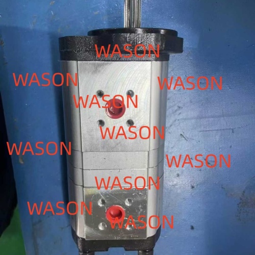 Hydraulic Gear Pump SWE 0510 765 055 /1518 222 862