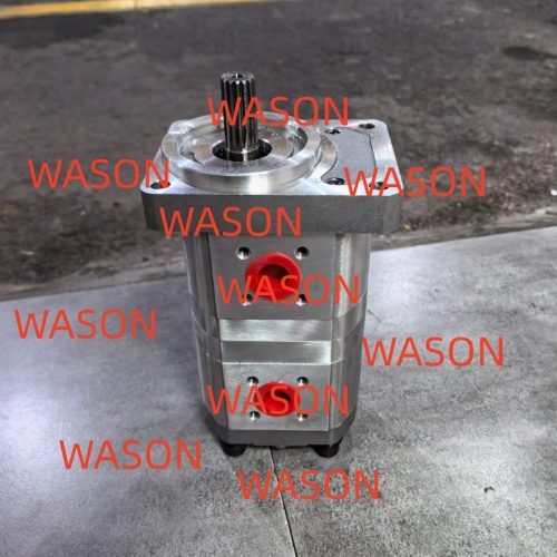 Hydraulic Gear Pump 307012-6111 5.5+5.5