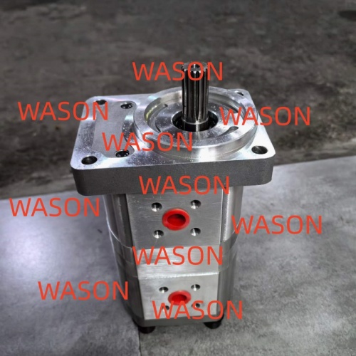 Hydraulic Gear Pump 307012-6111 5.5+5.5