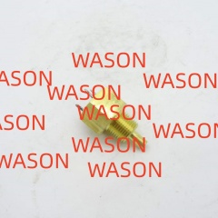 Water Temperature Sensor 2848A102