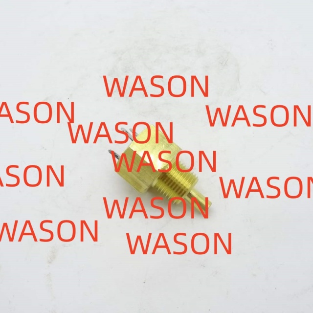 Water Temperature Sensor 2848A102