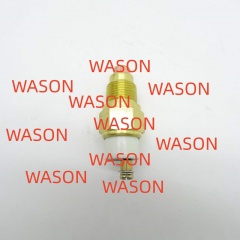 Water Temperature Sensor 120130-91370
