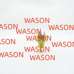 Water Temperature Sensor 2848A102