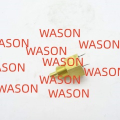 Water Temperature Sensor 2848A102