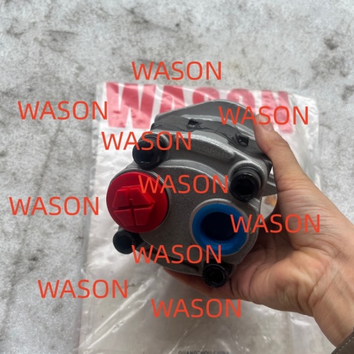 Hydraulic Gear Pump SGP1A30L233 13T