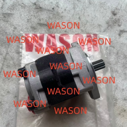 Hydraulic Gear Pump SGP1A30L233 13T
