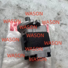 Hydraulic Gear Pump SGP1A30L233 13T