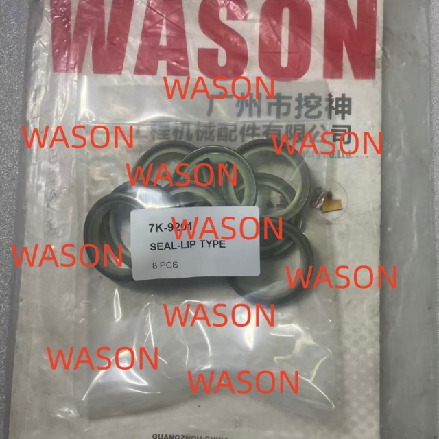 Dust Seal DWI 4124850 412-4850