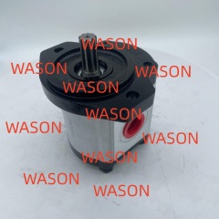 Hydraulic Gear Pump  3600242 111.20.134.00 SNP2NN017RN06SA P1E6E5NNNN