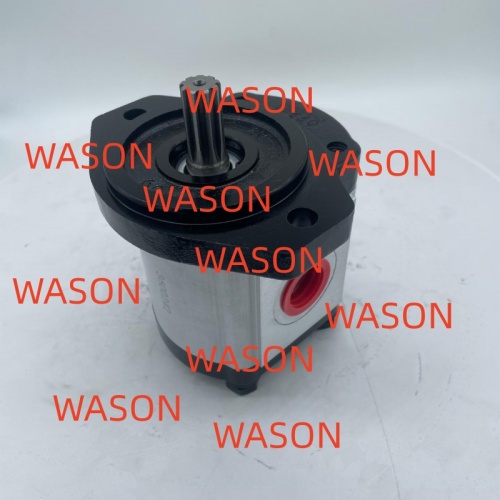 Hydraulic Gear Pump  3600242 111.20.134.00 SNP2NN017RN06SA P1E6E5NNNN