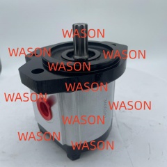 Hydraulic Gear Pump  3600242 111.20.134.00 SNP2NN017RN06SA P1E6E5NNNN
