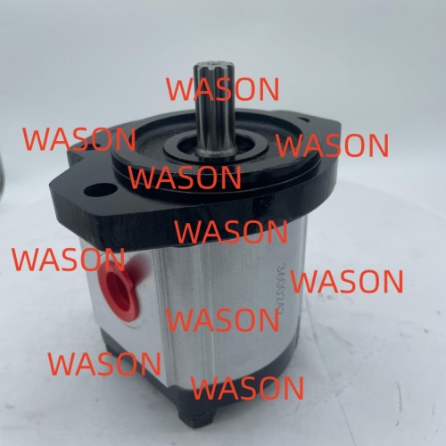 Hydraulic Gear Pump  3600242 111.20.134.00 SNP2NN017RN06SA P1E6E5NNNN