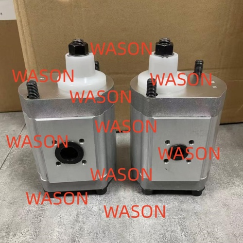 Hydraulic Gear Pump   80766066