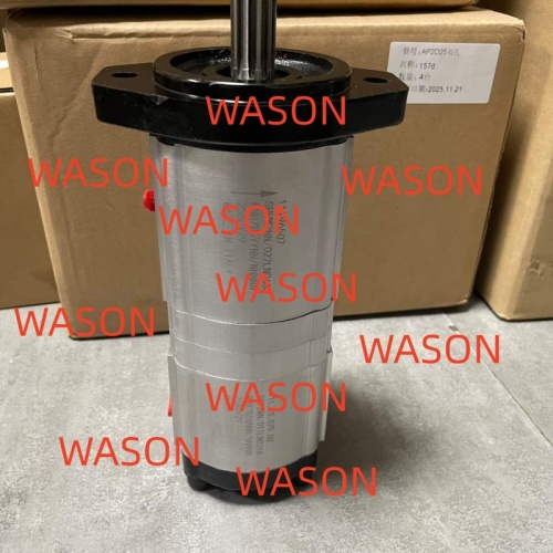 Hydraulic Gear Pump  SHHV2NN/022LN06SS NNB7B5YYNN