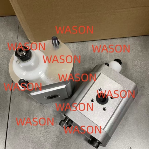Hydraulic Gear Pump   80766066