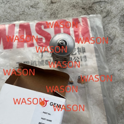 Excavator Expansion Valve AN51515-A0490