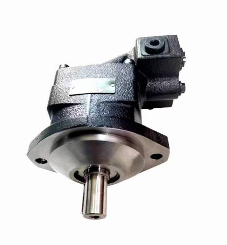 F115 F11-05 Hydraulic Pump Assy