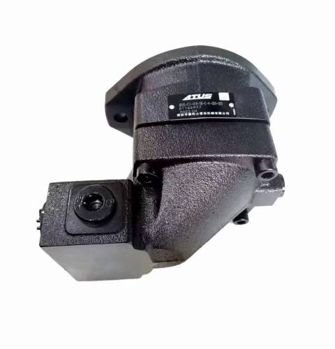 F115 F11-05 Hydraulic Pump Assy