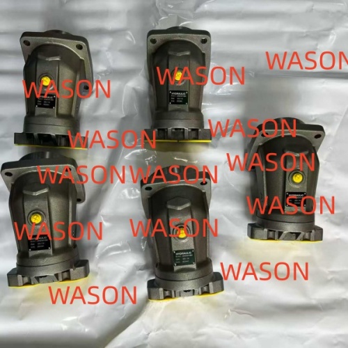 A2FM170 A2FM61W Hydraulic Pump Assy
