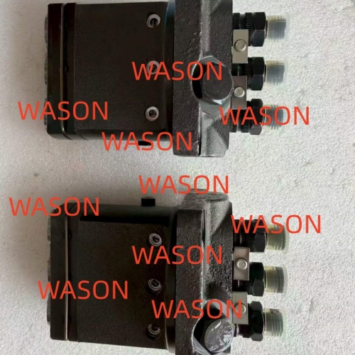S4L/S4L2/K4N/3G12N844/4EN844 Excavator Fuel Pump FOR E304CR 721550-51700