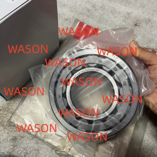 SK120-6/3 NJ314  Bearing 70*150*35