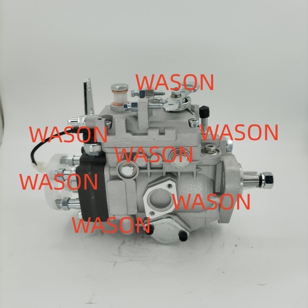 S6S FD20/30-F18B Fuel Injection Pump 32A65-10010