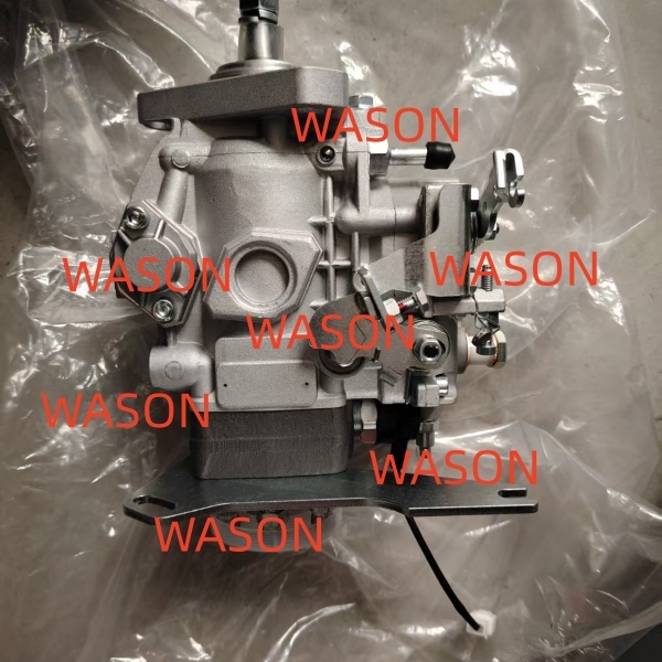 S6S FD20/30-F18B Fuel Injection Pump 32A65-10010
