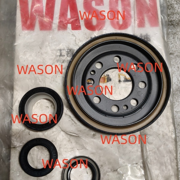 V80  Engine Gasket Kit SC25R136Q4